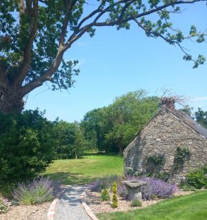Hemma Grove - A Songbird haven - Kilkenny - 7