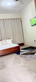 Spacious Holiday Let Wi-Fi & Private Amenities Oyibi - Oyibi - 7