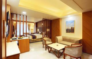 Hotel Park Plaza Near Delhi Airport - Neu-Delhi - 1