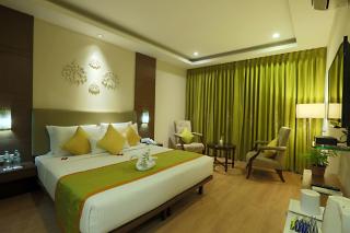 Hotel Luxury Plaza Delhi Airport - New Delhi - 7