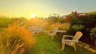 Rose Design - Albufeira - 9