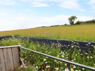The Tiny House - Haverfordwest - 2
