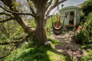 The Shepherd Hut - Haverfordwest - 0