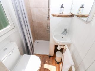 The Shepherd Hut - Haverfordwest - 5