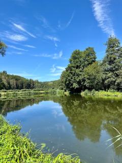 Moderne gemütliche Wohnung - zentral und naturnah - 9
