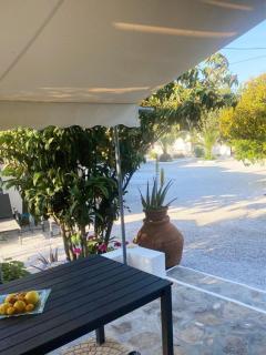 White Oasis Samos-Retreat - - 2