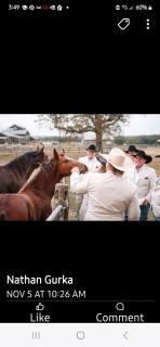 Skull Creek Ranch Cotton Gin II - 1