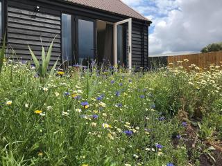 Badger Lodge - Uk30603 - Pidley - 5
