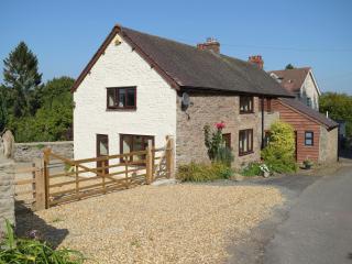 Westerley - Uk31573 - Clifford - 0