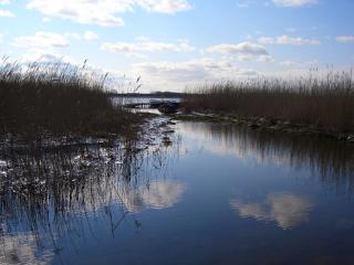 Ferienhaus Rügen Natur Urlaub Wasserblick Sauna - Reetz - 4