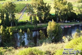 Rivier-Plesier Cottage at Riggton River Farm - Bonnievale - 2