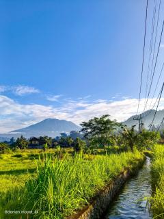 Kelle Homestay - 1
