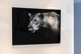 Marina View 1-Bedroom near JBR - Cayan Residence-25 - 2