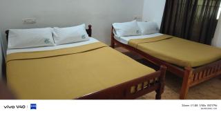 Mist Valley Wildlife Resort - Masinagudi - 6