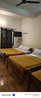 Mist Valley Wildlife Resort - Masinagudi - 8
