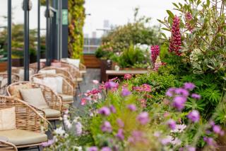 Treehouse Hotel London - Londra - 0