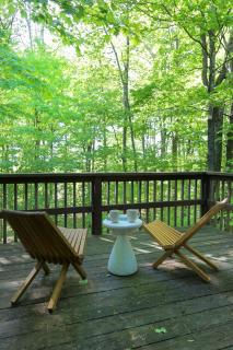 Luxurious Cabin by Lakes & Ski - Lake Ariel - 2