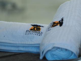 Nyamankulu Guest Lodge - Thulamahashi - 9