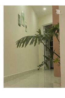 Bé Homestay - Hai Phong - 2
