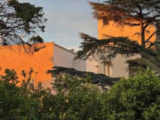 Suite Royale Palazzo Villani Lubelli - Cannole - 5
