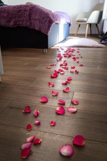 Golden Rabbit Suite - Praga - 8