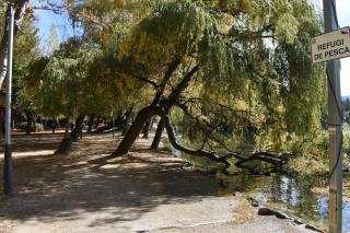 Puigcerdà Carlos's House, como en tu casa - 1