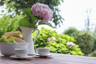 Paradise Garden Apartment - 8