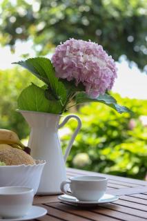 Paradise Garden Apartment - Crikvenica (Cirquenizza) - 9