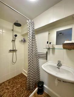 Cozy Apartment in Aalsmeer - Aalsmeer - 9