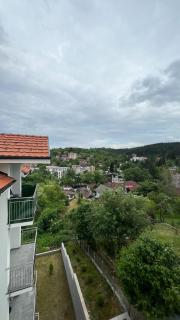 Vrnjačka View apartments - Vrnjačka Banja - 9