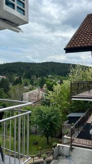 Vrnjačka View apartments - Vrnjačka Banja - 4