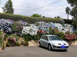 Hortensia no Kids - Loperhet - 1