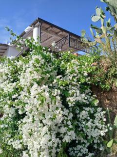 La casa blu superior - 7