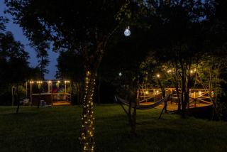 Forrest Houses Bartosze - Bartosze - 7