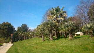 agréable appartement 3 pièces 62 m2 - Hyères - 8