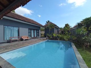 Lovina villa cinta - Lovina - 2