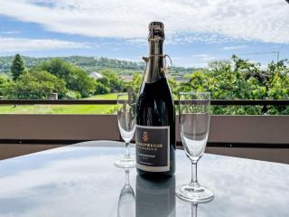 Apartment Weinbergblick by Interhome - 5