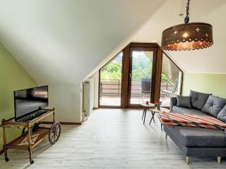 Apartment Weinbergblick by Interhome - Bischoffingen - 3