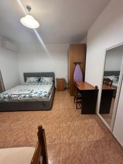 Sophia Daily Apartment 3 - Tirana - 1