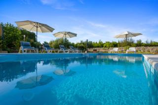 Holiday home Neva with private pool and game room - Donje Vinovo - 7