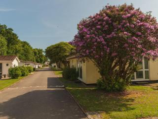 Holiday Home Bliss by Interhome - Liskeard - 5
