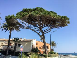 Apartment Les Embruns-5 by Interhome - Sainte-Maxime - 0