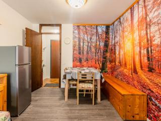 Apartment Boris by Interhome - Mezzana - 9