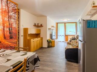Apartment Boris by Interhome - Mezzana - 8