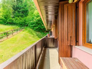 Apartment Boris by Interhome - Mezzana - 6