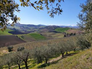 Holiday Home Leone D'Oro by Interhome - - 6