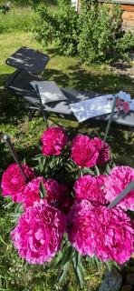 Nanisgarten - Grannys flat - Obergesteln - 5