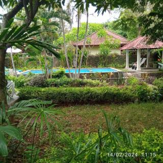 Sarasvati Lovina Villa - Lovina - 0