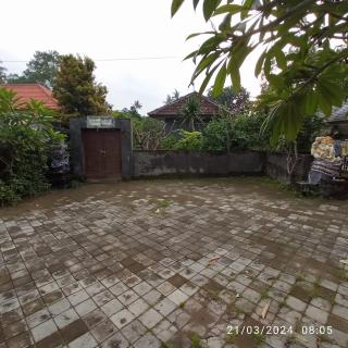 Sarasvati Lovina Villa - Lovina - 3