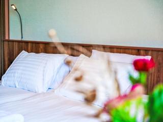 Studio Zen Kitchen & Boutique Hotel-1 by Interhome - Brouwershaven - 5